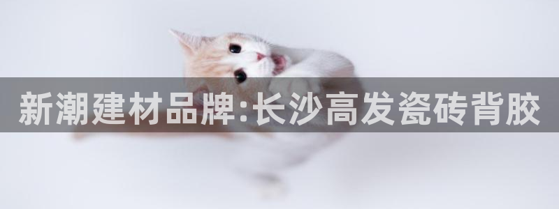 杏鑫官网注册账号密码忘了