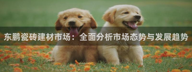 杏鑫注册登录网址是多少