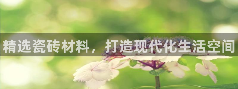 杏鑫平台注册入口