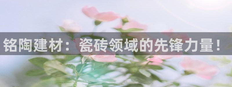 杏鑫平台代理注册流程图