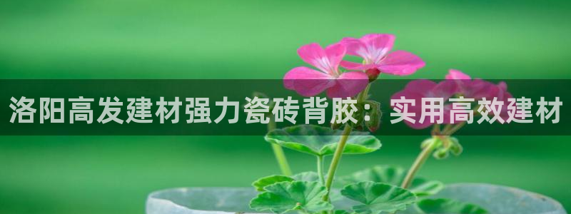 杏鑫平台下载安装